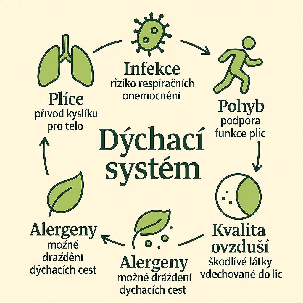 2,Dýchací systém